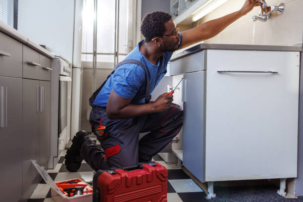 Best Emergency Plumber  in Frederic, WI